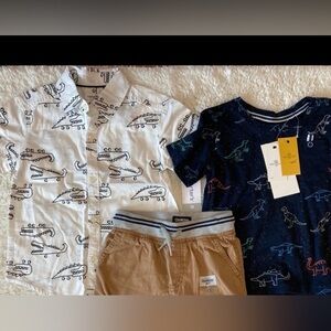 Carter’s, Craft & Flow Shirts Size 3T